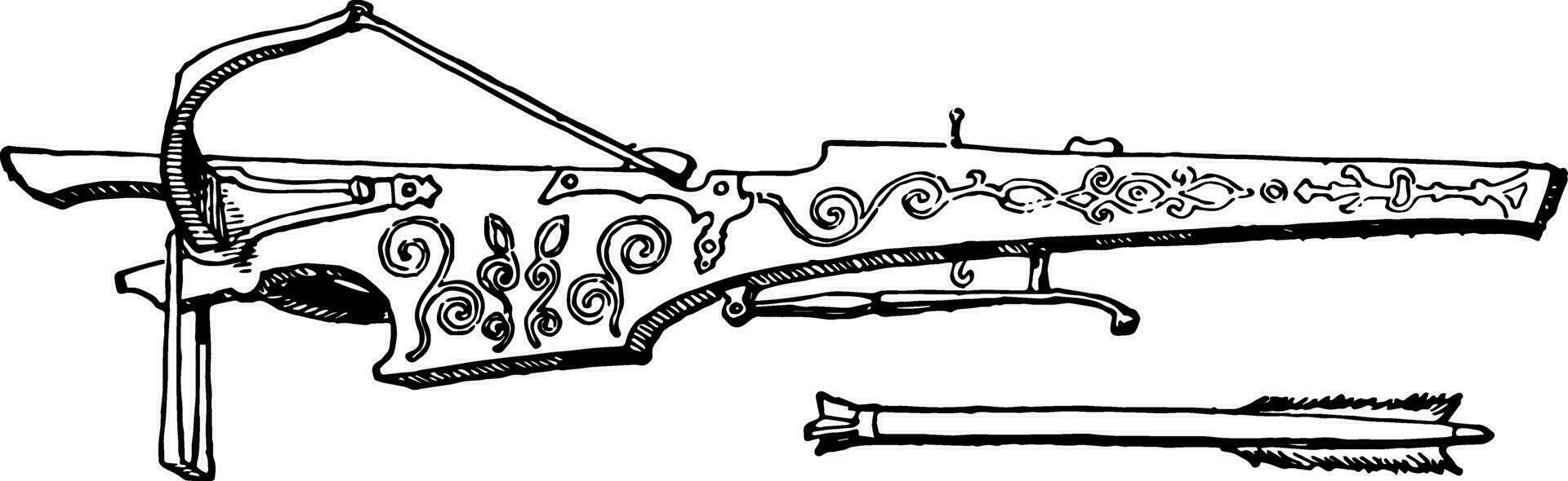 Crossbow, vintage illustration. vector