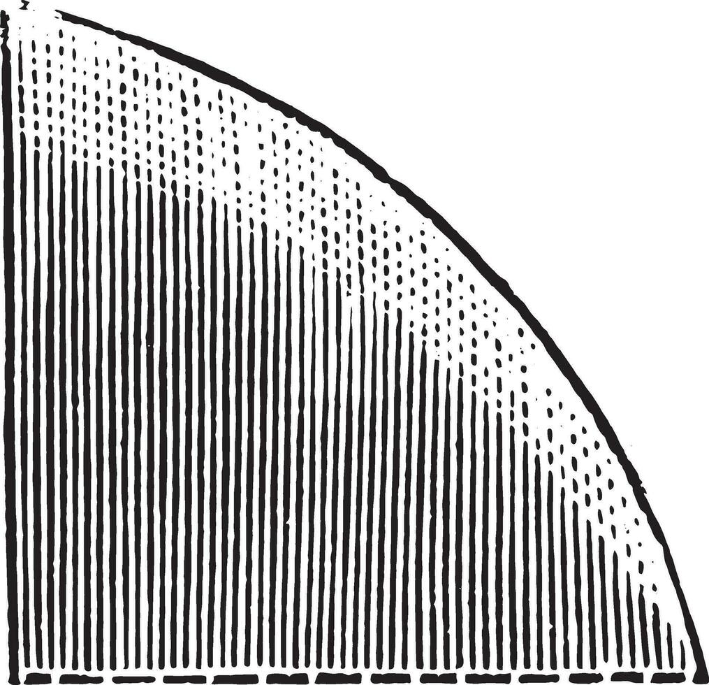 Ploughshare convex edge, vintage engraving. vector