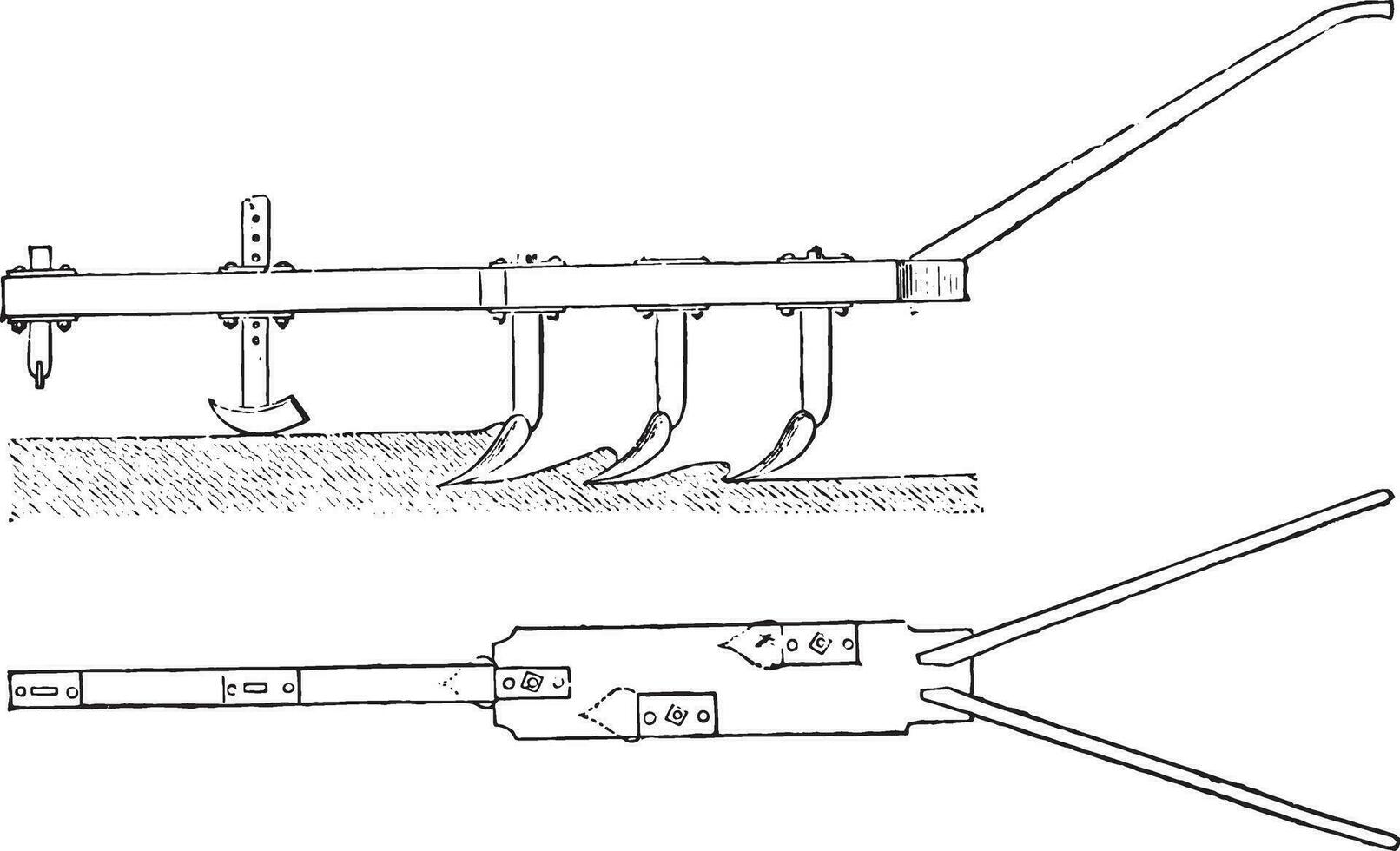 elevación y plan para el carroñero bazin, Clásico grabado. vector