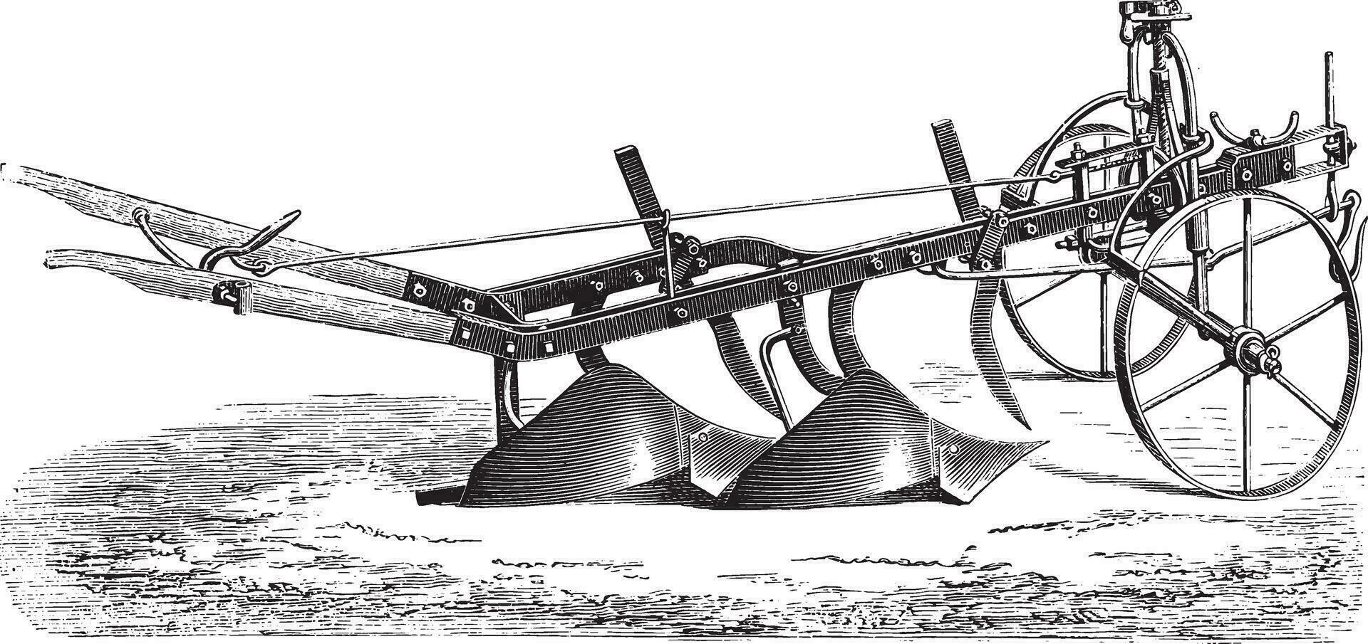 Bisoc Didelot, vintage engraving. vector