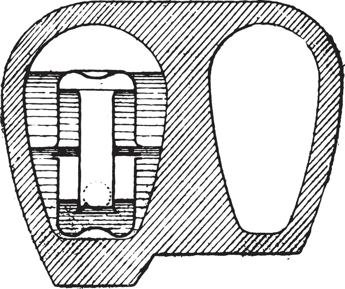 Cross section in AB of the figure, vintage engraving. vector