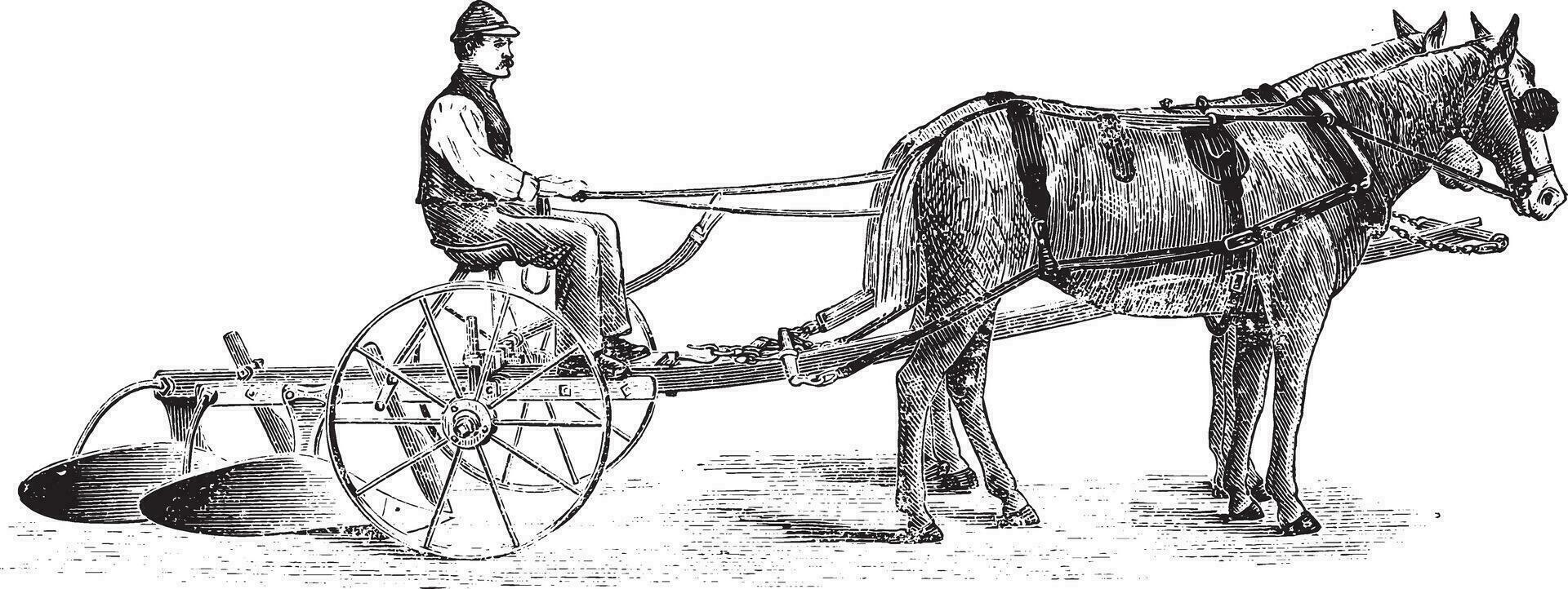 Bisoc seat and unearthing, vintage engraving. vector