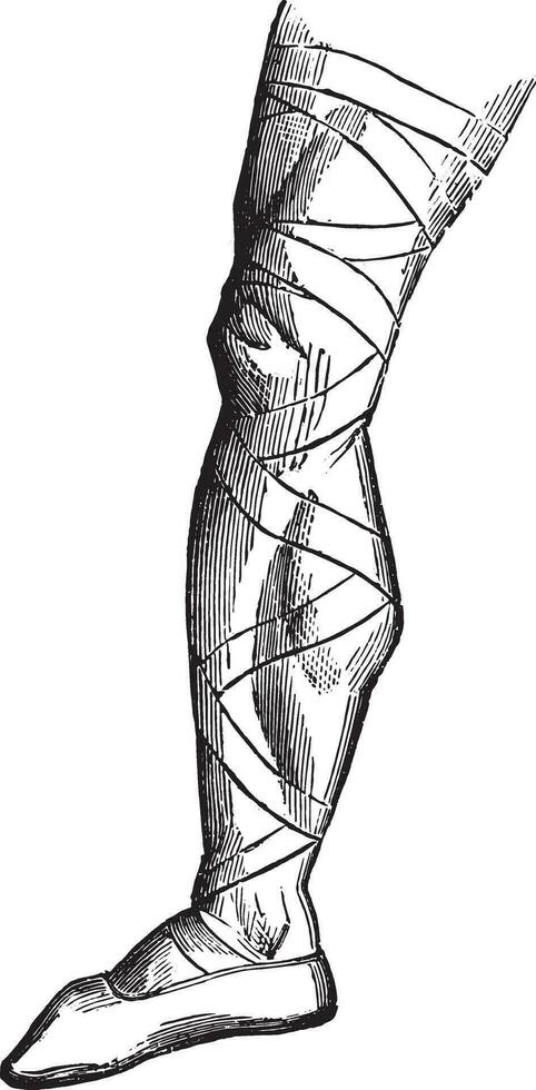 Shoe of a Frankish warrior at the beginning of the sixth century, vintage engraving. vector