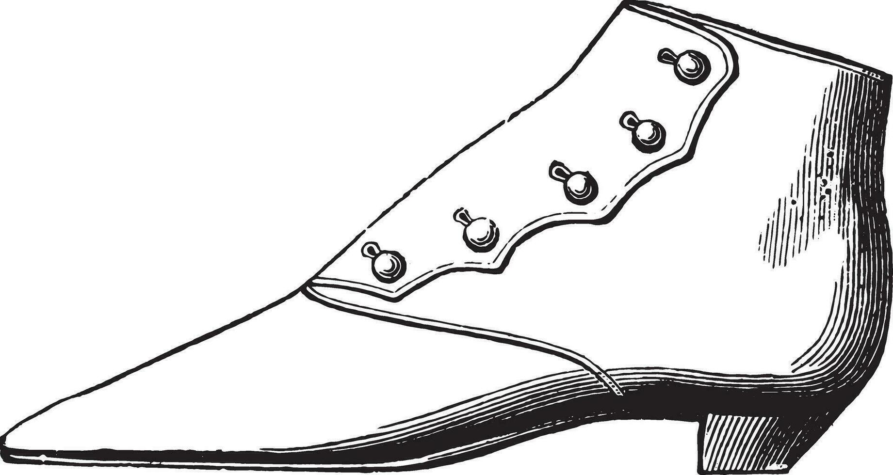 Leather boots with buttons, vintage engraving. vector