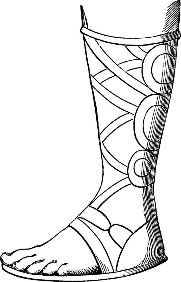 Etruscan boot, vintage engraving. vector
