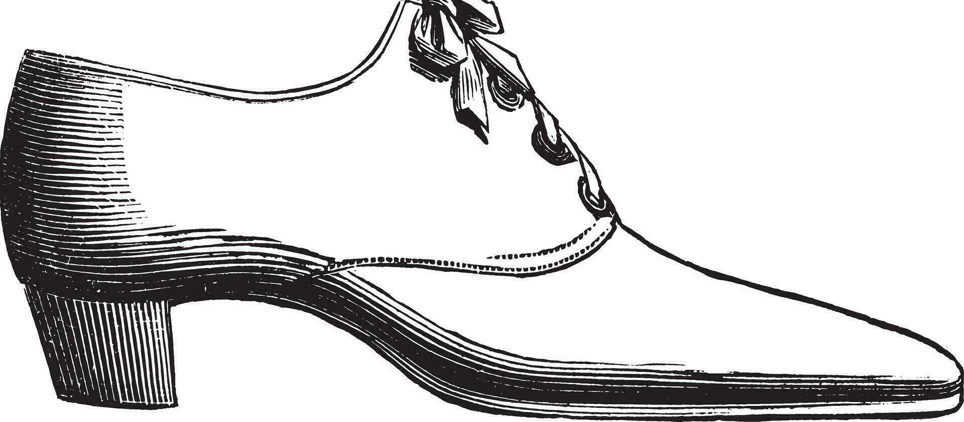 Shoe lace, vintage engraving. vector