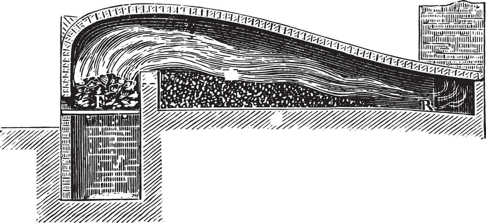 Swansea roaster, vintage engraving. vector