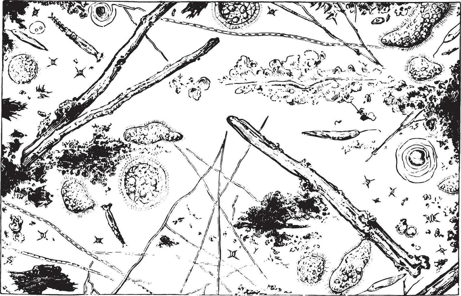 Microscopic water for Siene leads to the sewer collector Asnieres, vintage engraving. vector