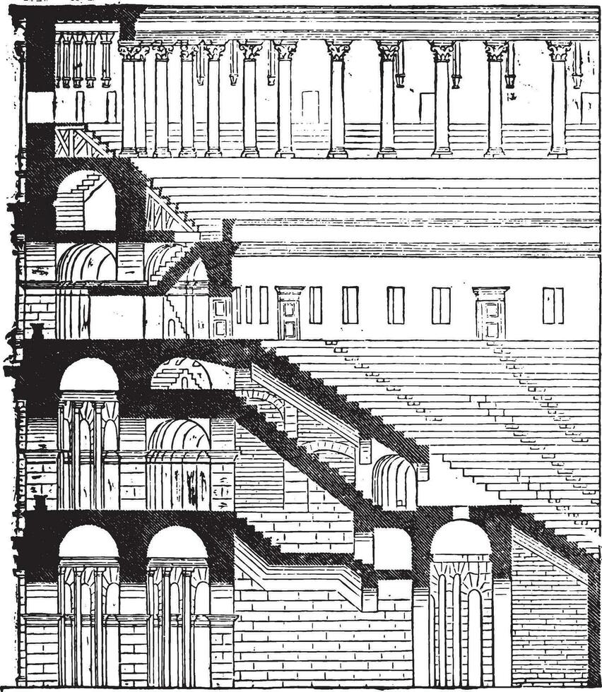 Section and elevation of the Colosseum, completed under Titus, vintage engraving. vector