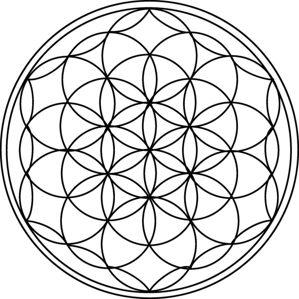 The Flower of Life vector