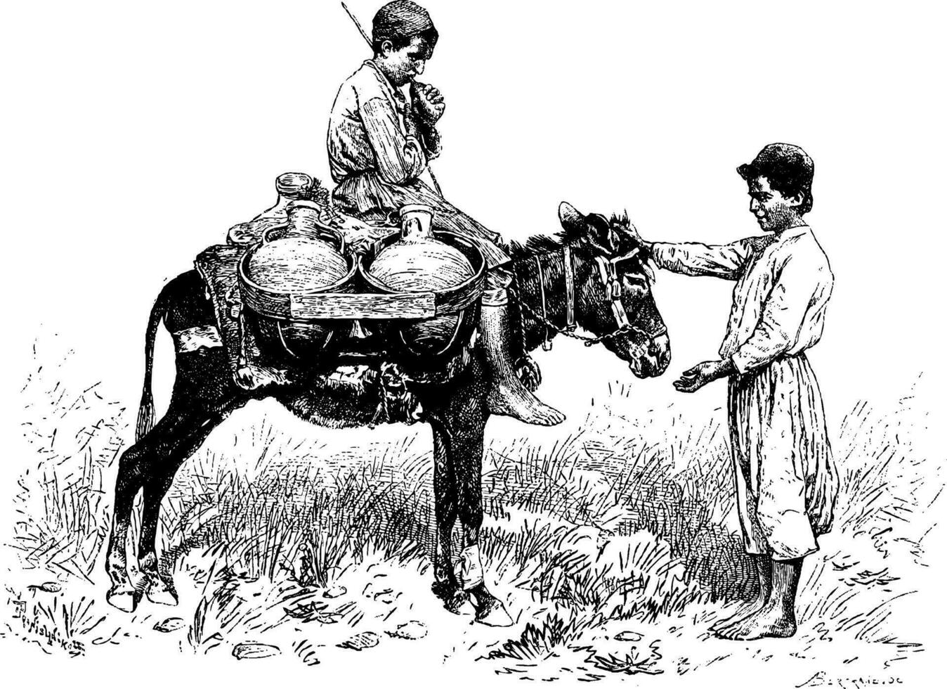 Water Carrier from Tyre, Lebanon, vintage engraving 35074959 Vector Art