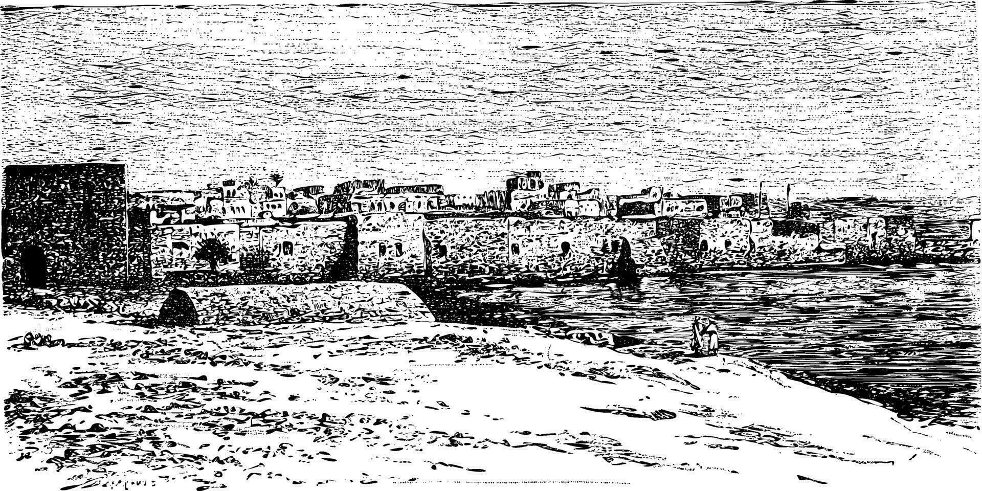 City Gate of Tyre, in Lebanon, vintage engraving vector