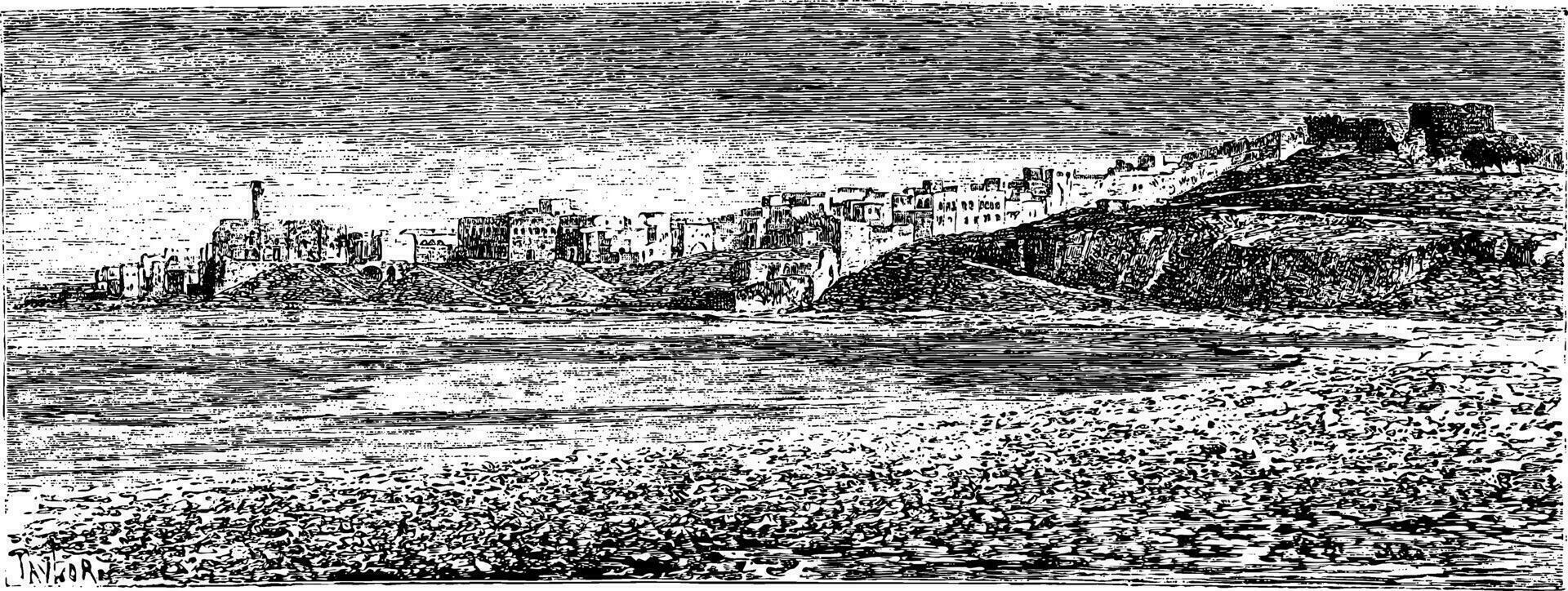 egipcio Puerto en el ciudad de Sidón en Líbano, Clásico grabado vector