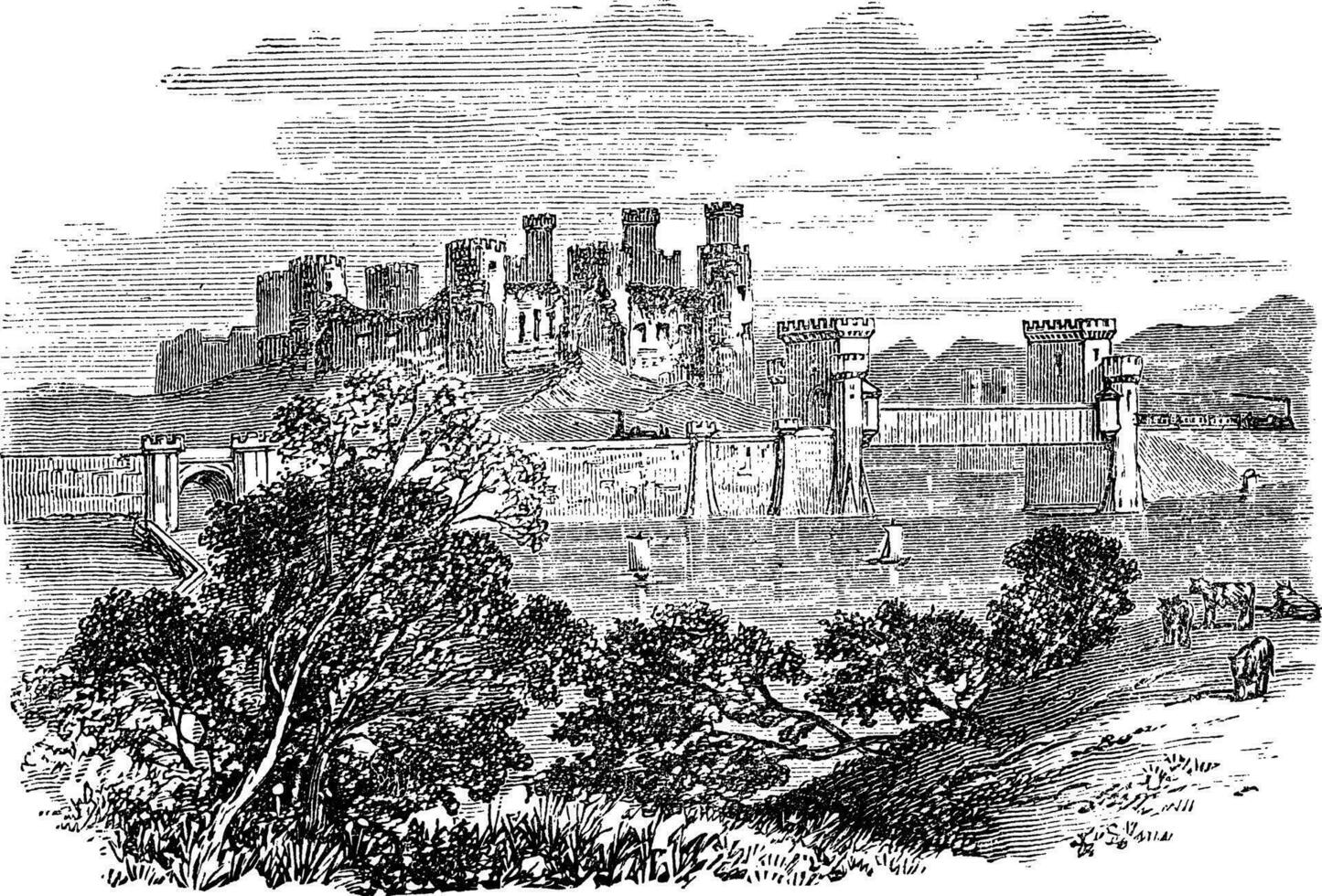 Aberconway Castle, now known as Conway Castle, in the North coast of Wales. vector