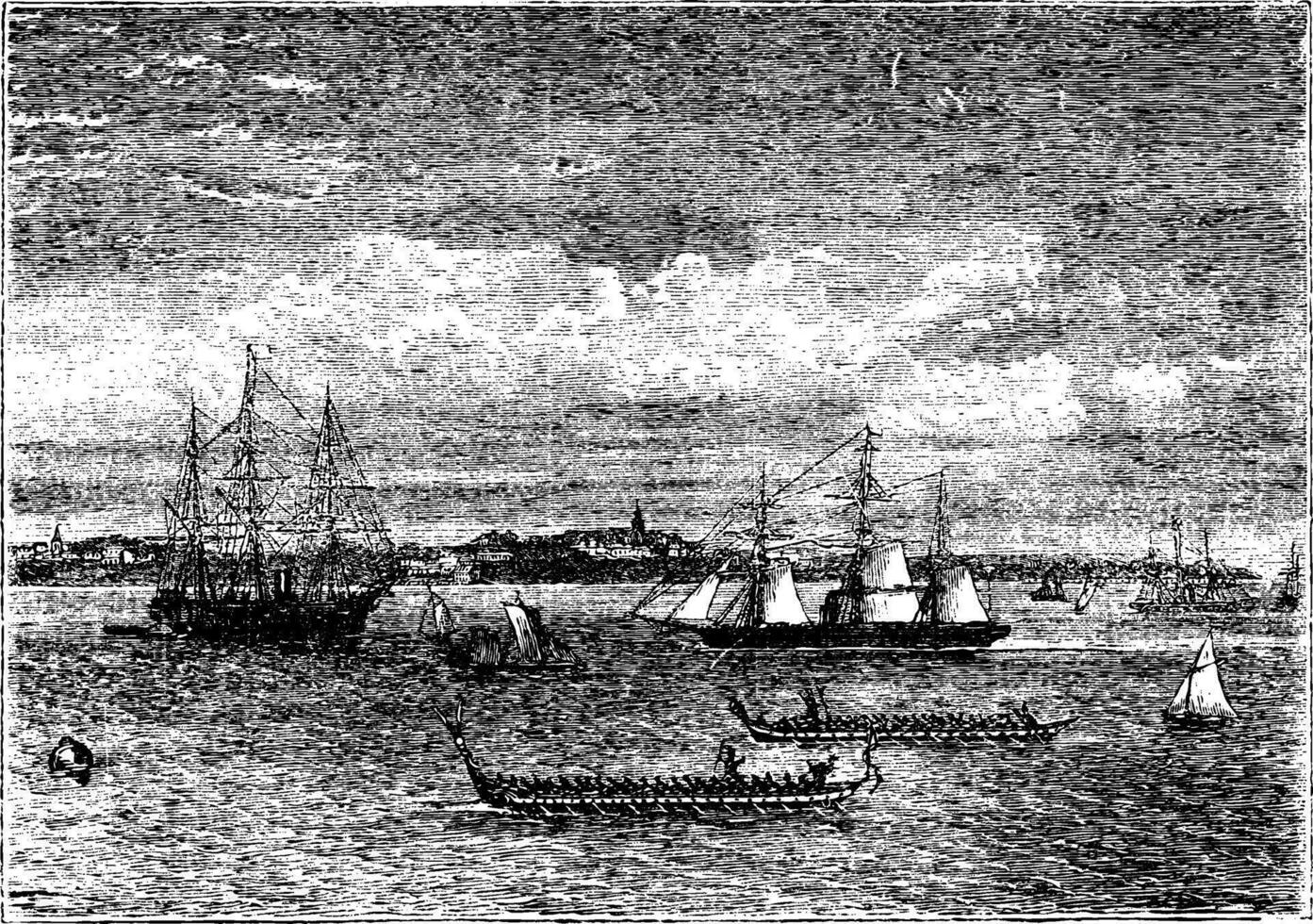 Auckland harbor in the 1890s vintage engraving, New Zealand vector