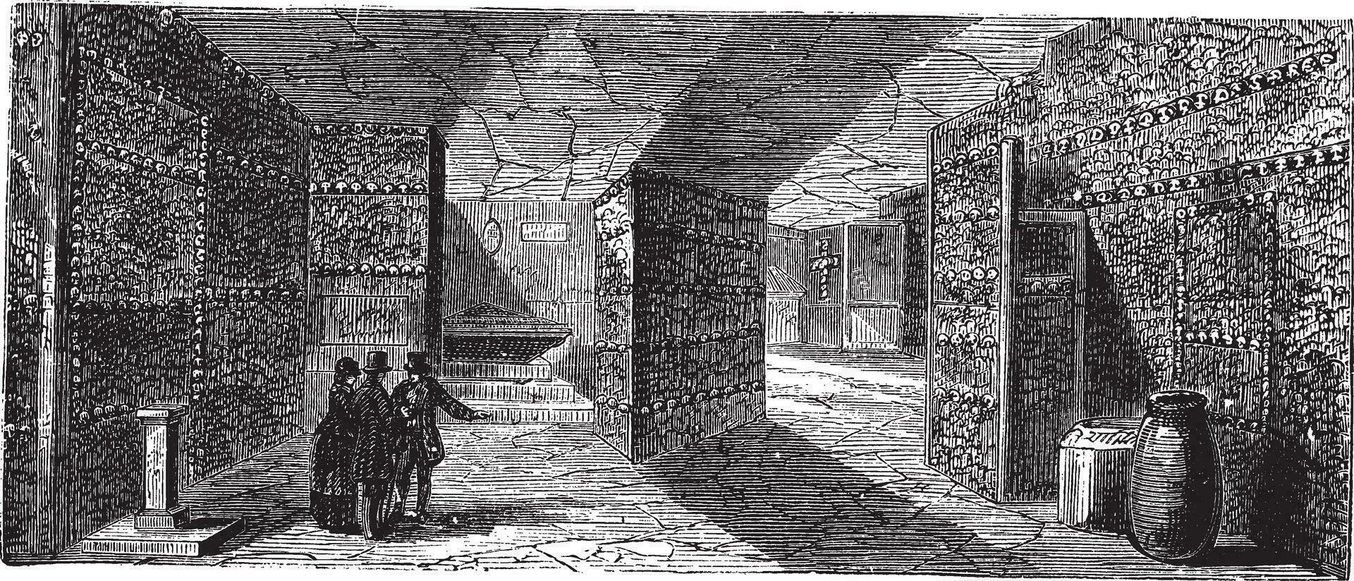 Catacombs or Ossuary,Paris, France vintage engraving vector