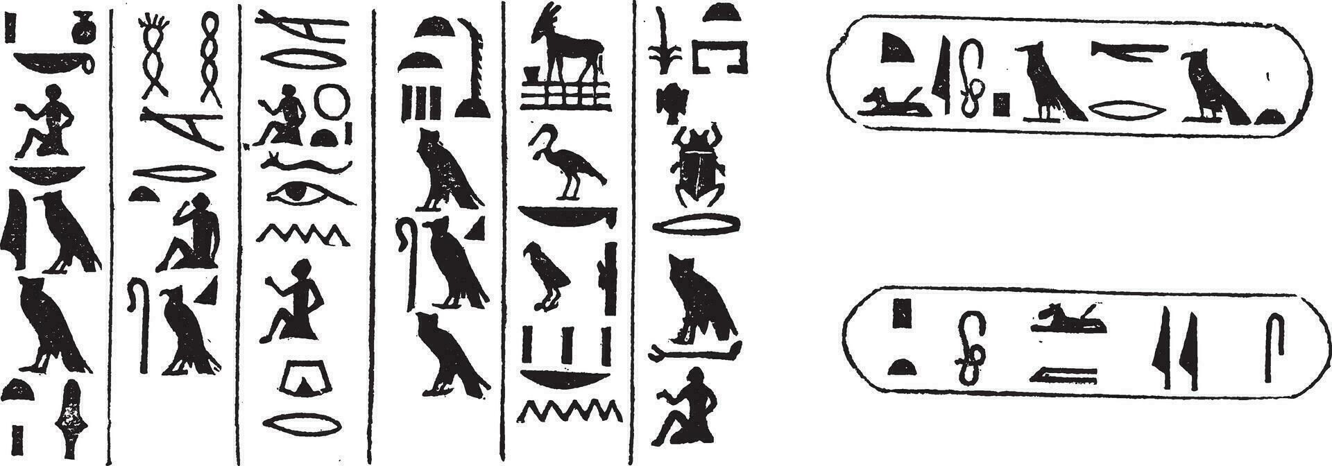 Egyptian Hieroglyphics, vintage engraved illustration vector