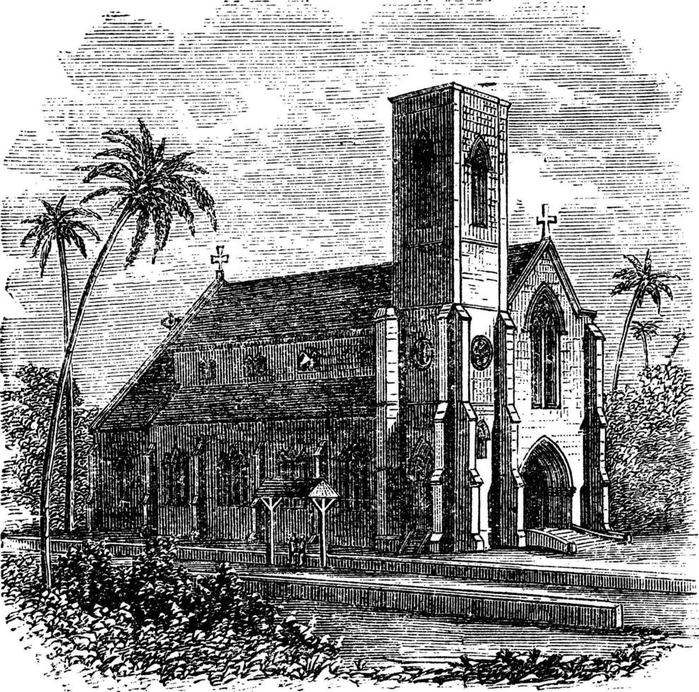 Saint Lucia Cathedral, in Colombo, Sri Lanka, vintage engraving vector