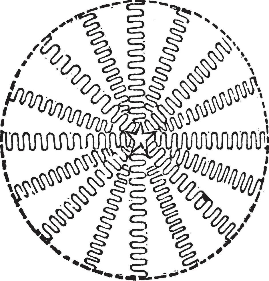 Propagation of light in non-inertial reference frames vintage engraving vector