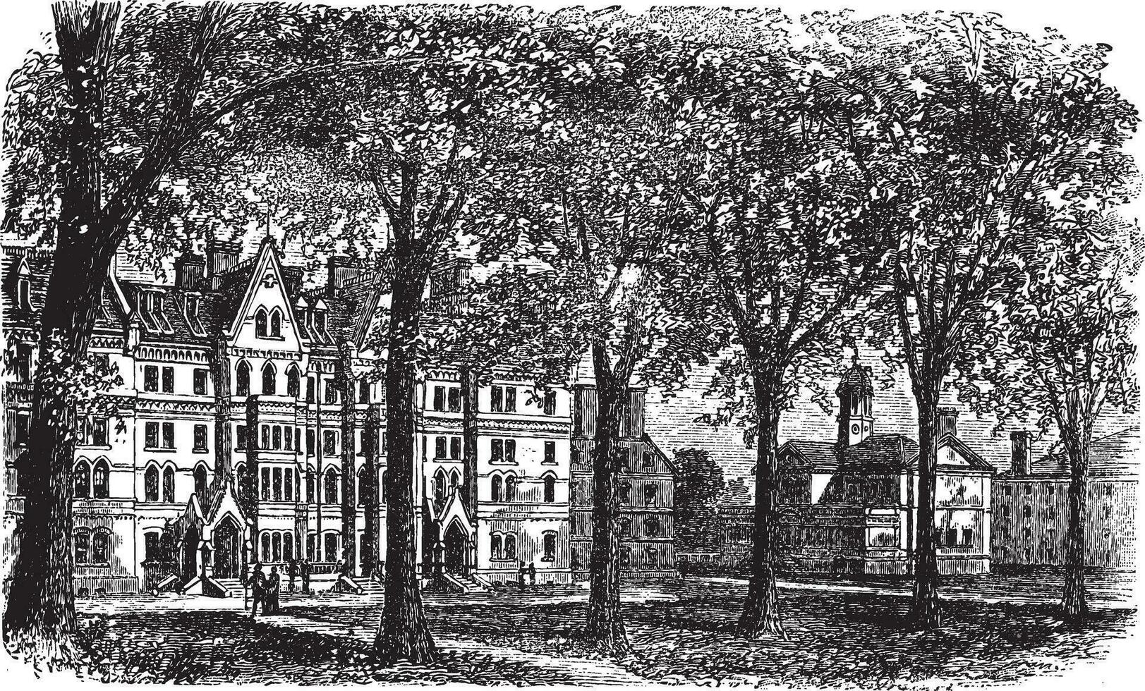 Harvard University, Cambridge, Massachussets vintage engraving vector