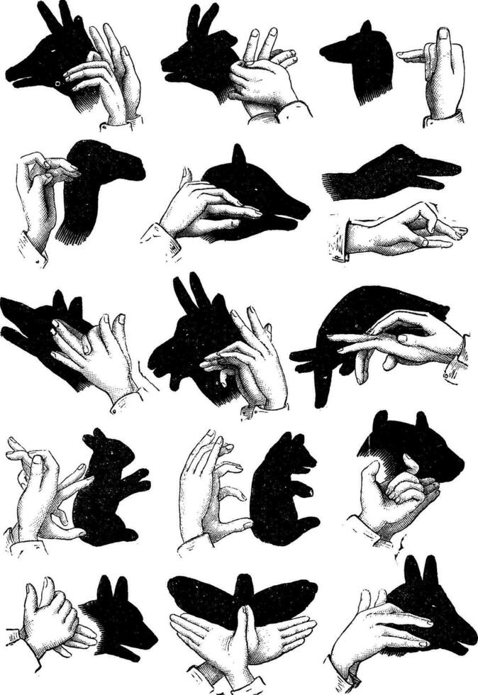 Shadows of the hand. - Reindeer, chamois, sheep, camel, pig, goose, wolf, goat, elephant, hare, bear, ox, dog, butterfly, ass, vintage engraving. vector