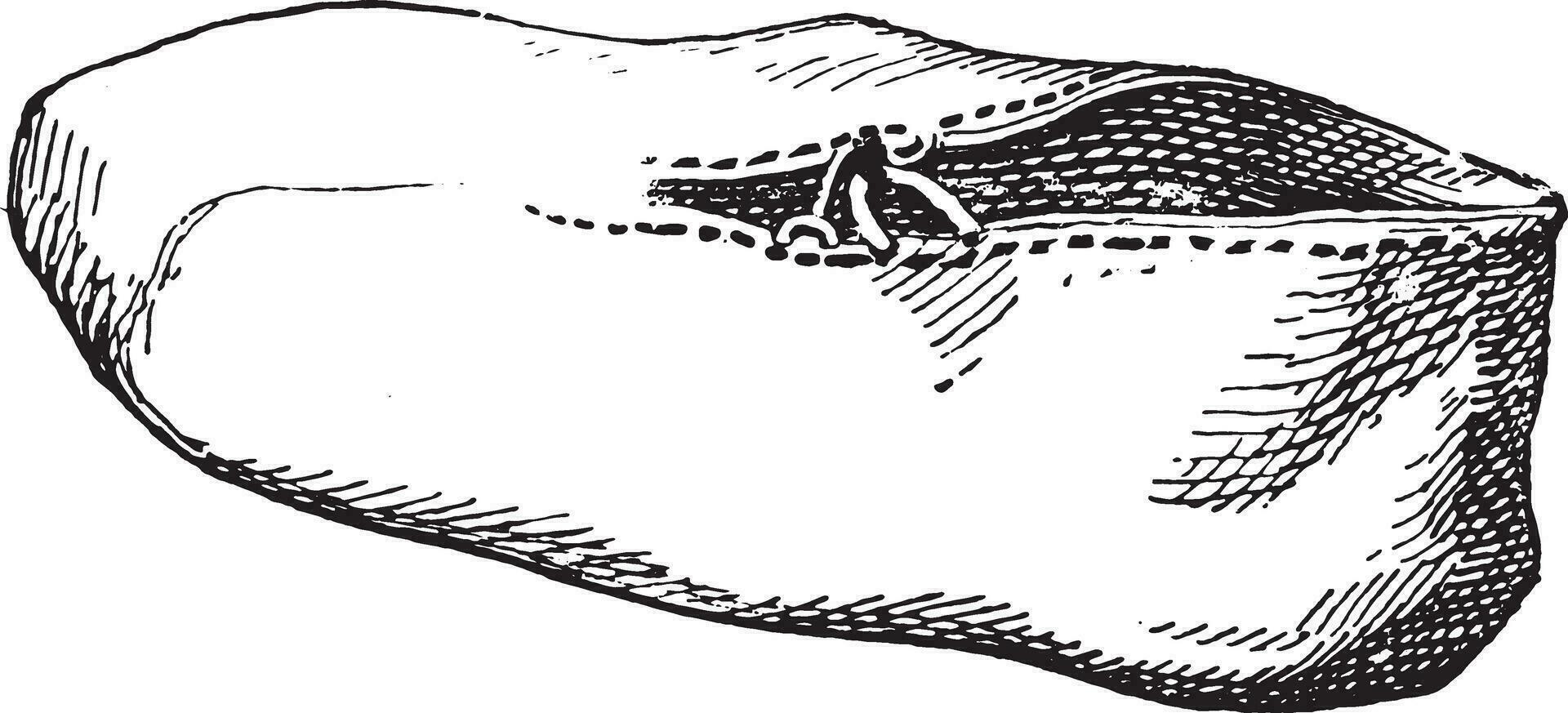 Egyptian shoe without a sole, vintage engraving. vector