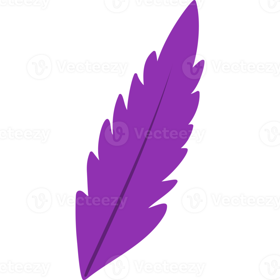 purple carnival feather png
