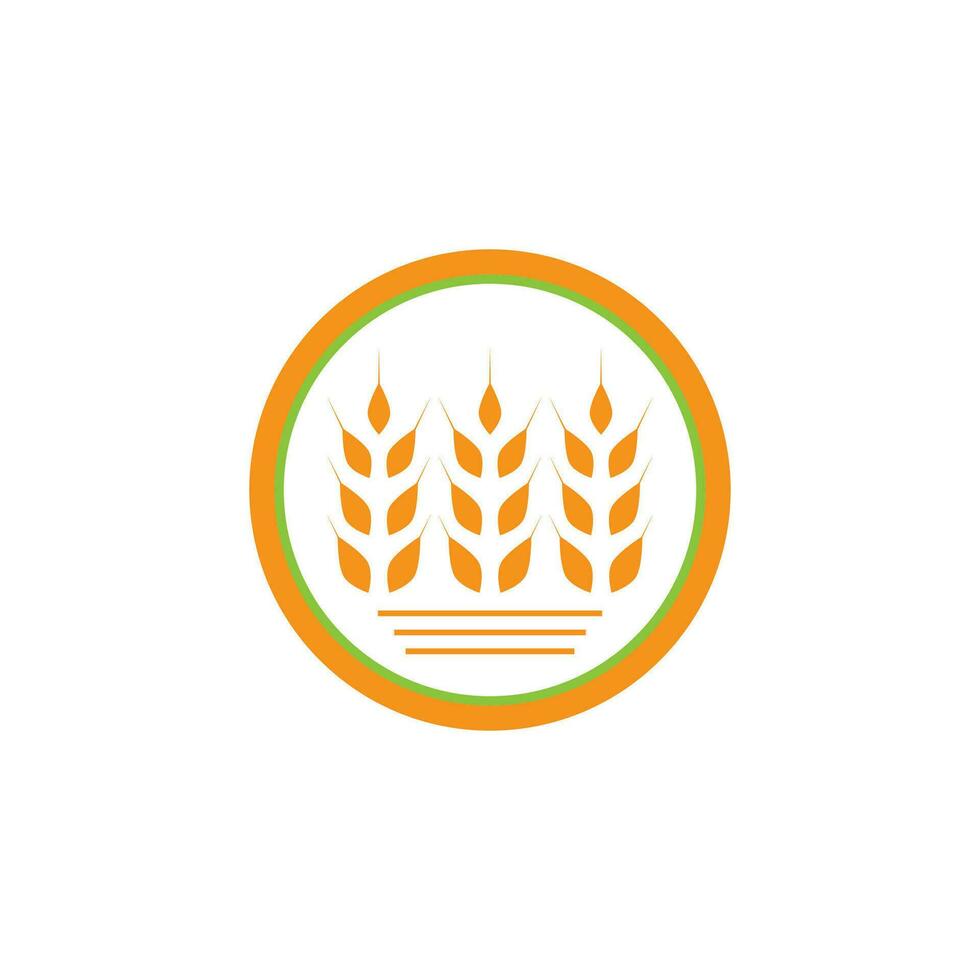 Wheat Logo template vector illustration design