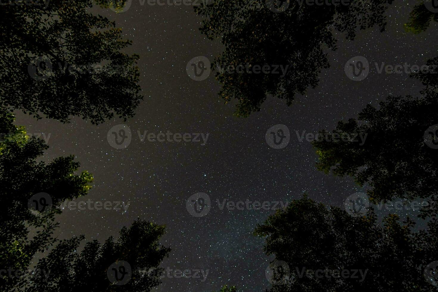 el cielo es lleno con estrellas y arboles foto