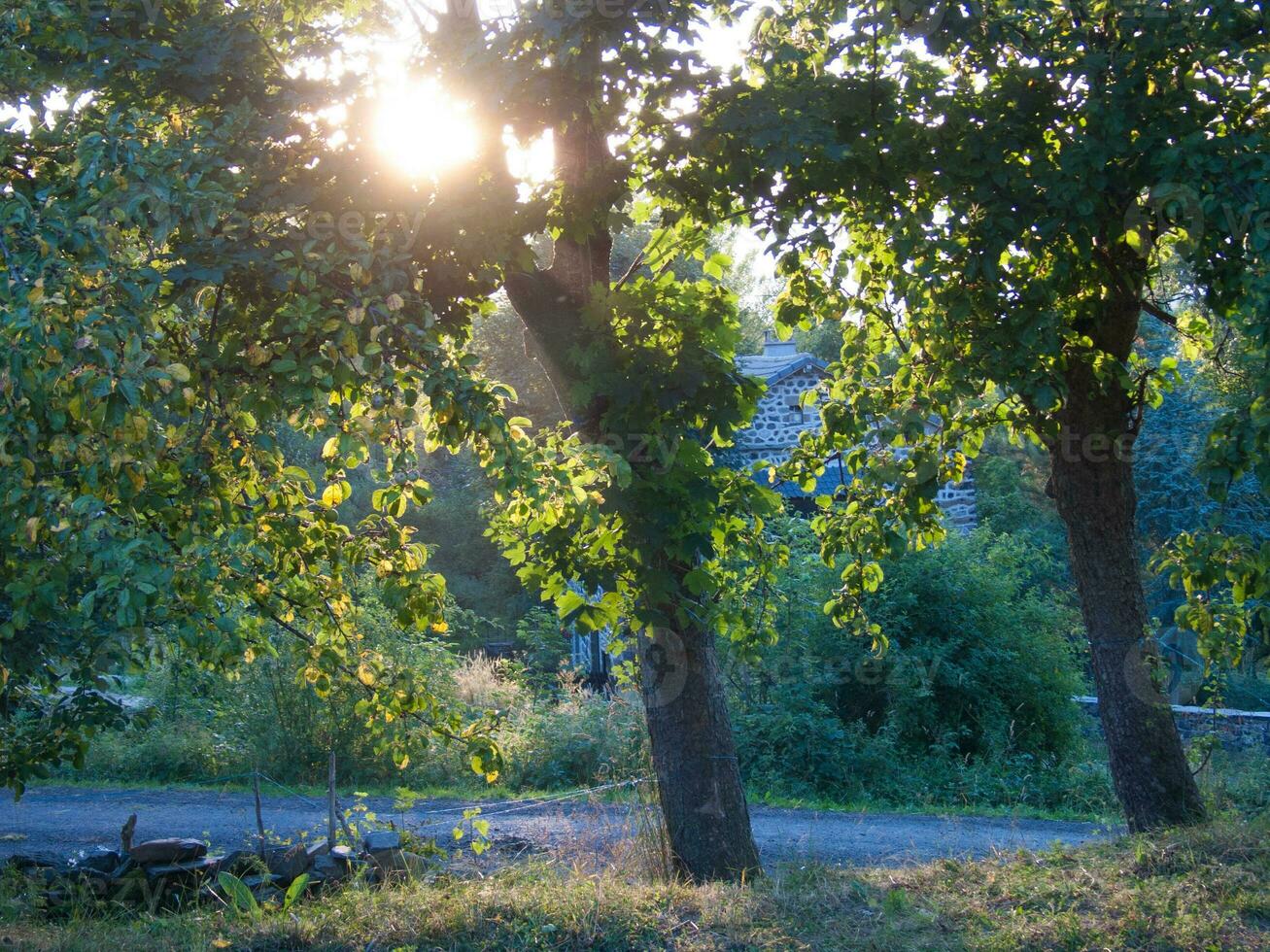 loire in france photo