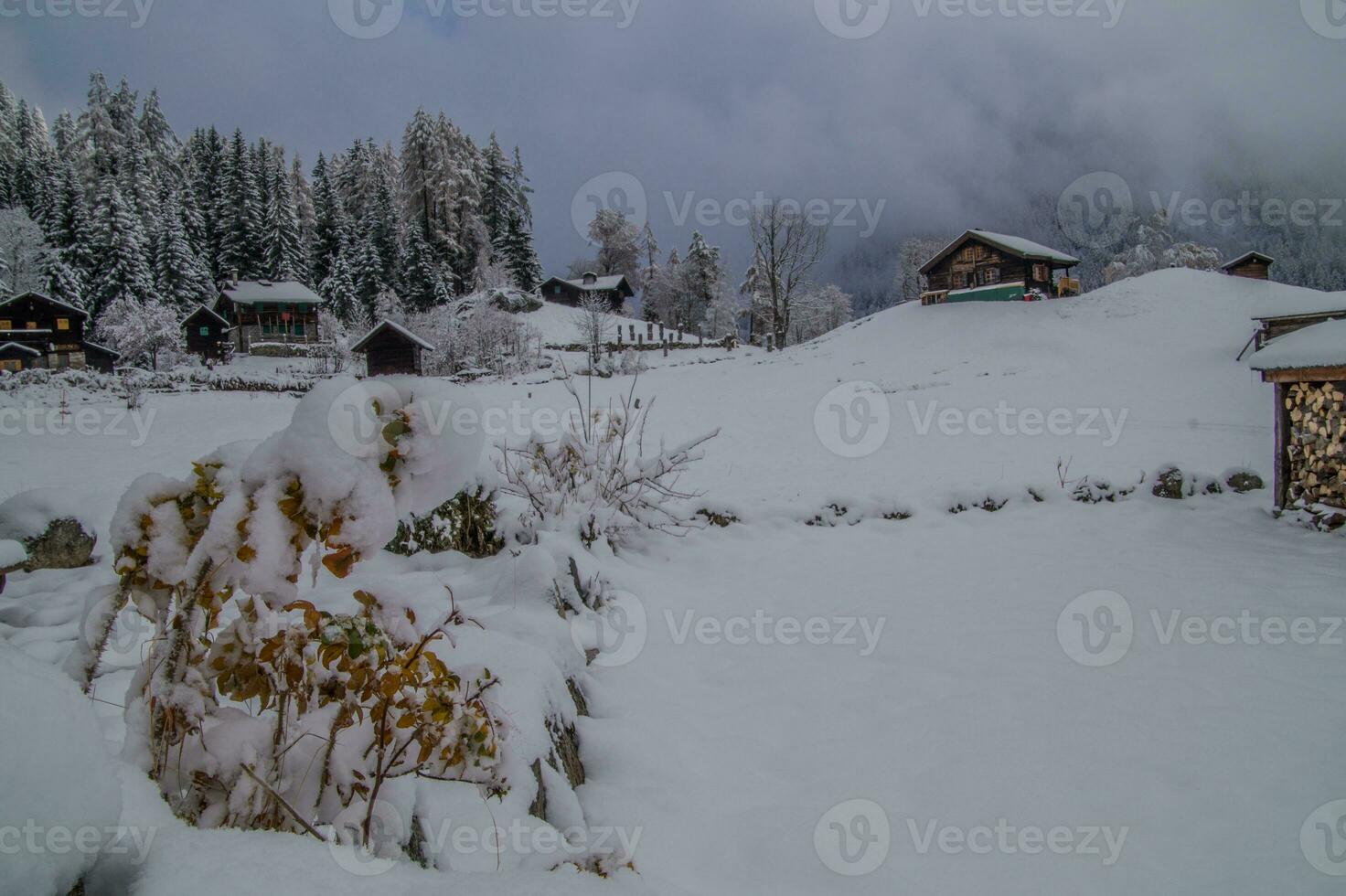 Montroc,Chamonix, alta Saboya, Francia foto