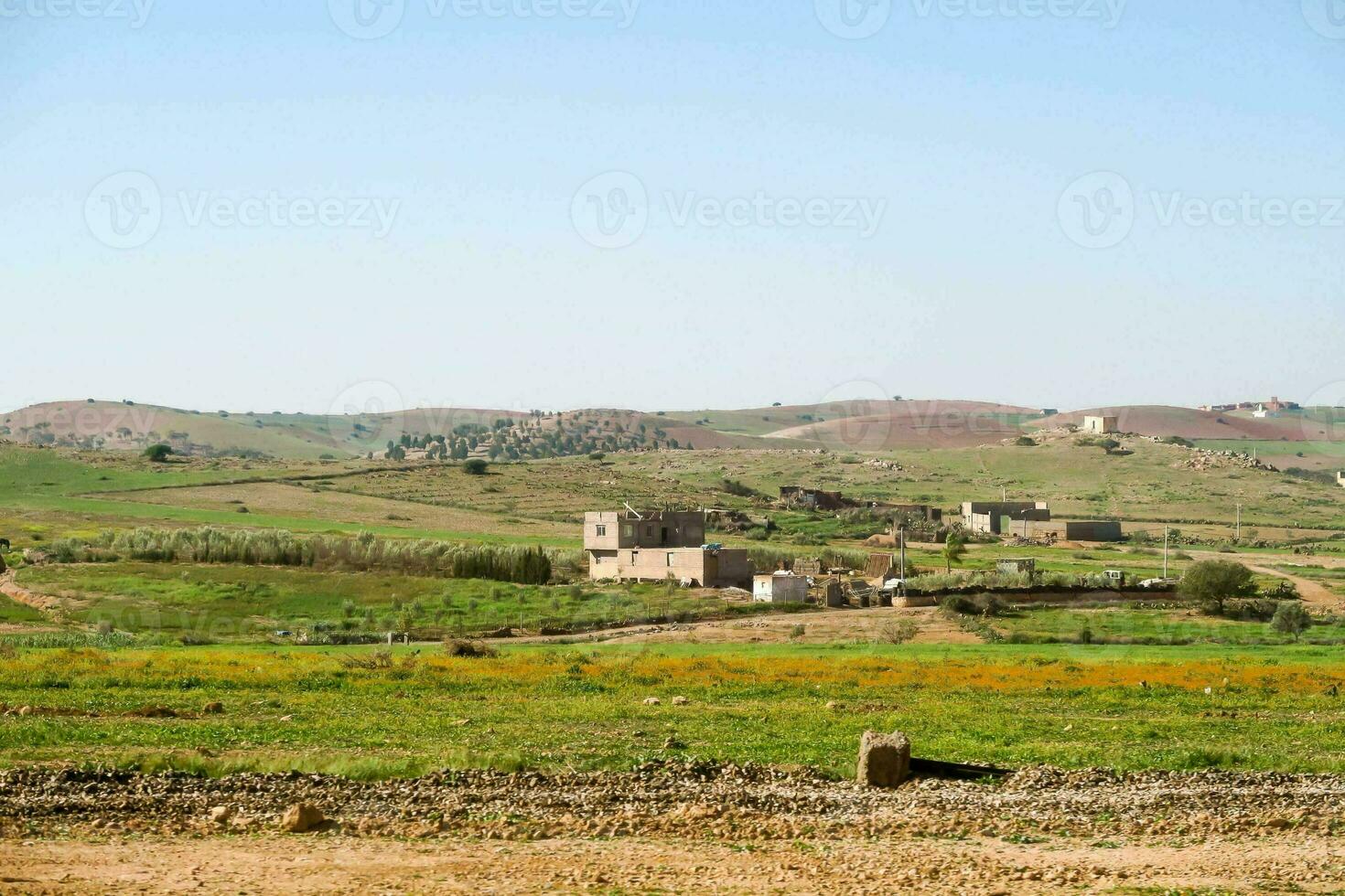 a view of a small village in the middle of a field photo