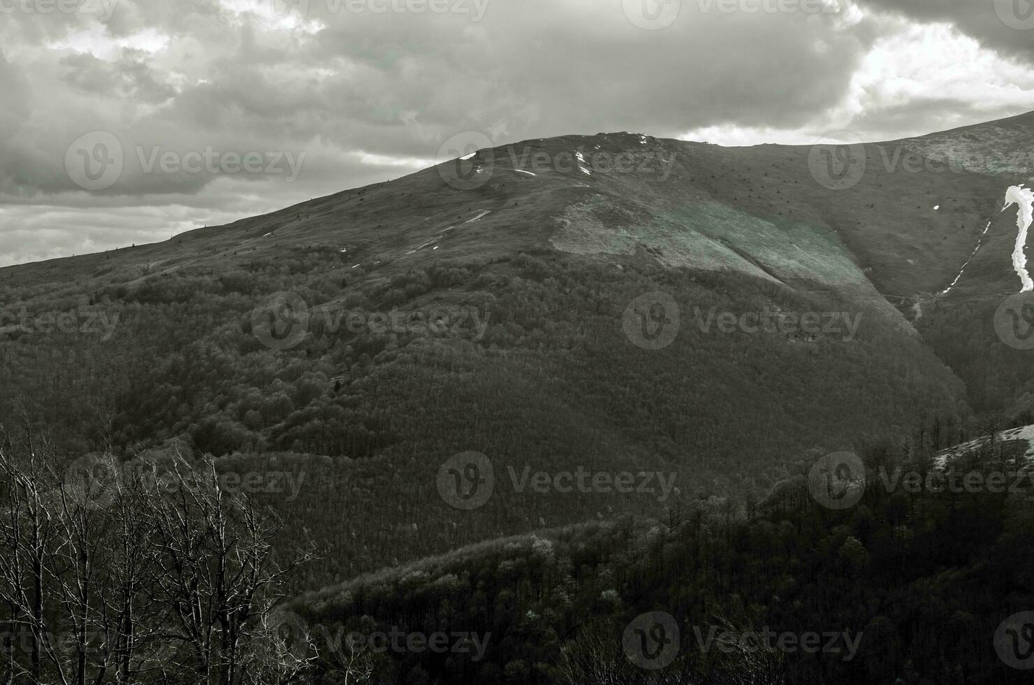 Dark mountain forest photo