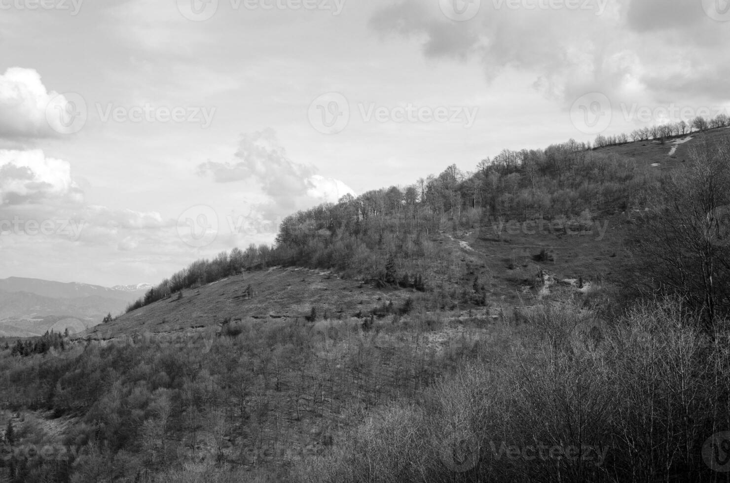 montañas y colinas negro y blanco antecedentes foto