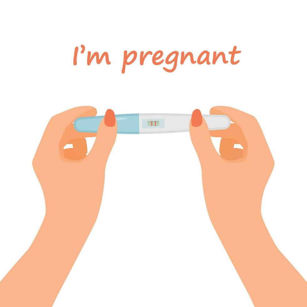 Woman hands holding positive pregnancy test result with two red stripes vector