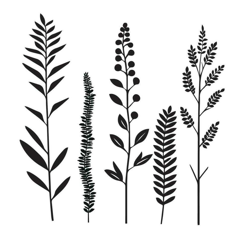 Collection of hand drawn black silhouette herbs and plants. vector