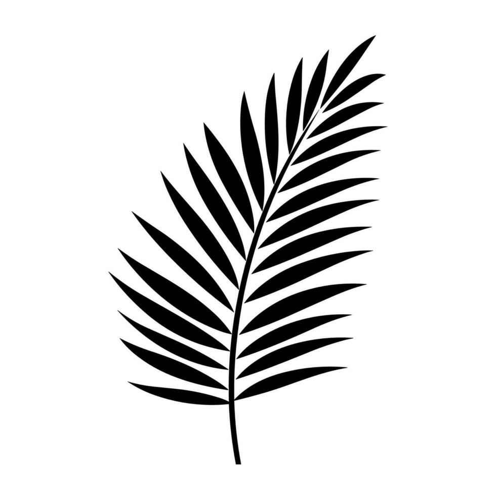 un palma árbol hoja silueta vector aislado en un blanco antecedentes