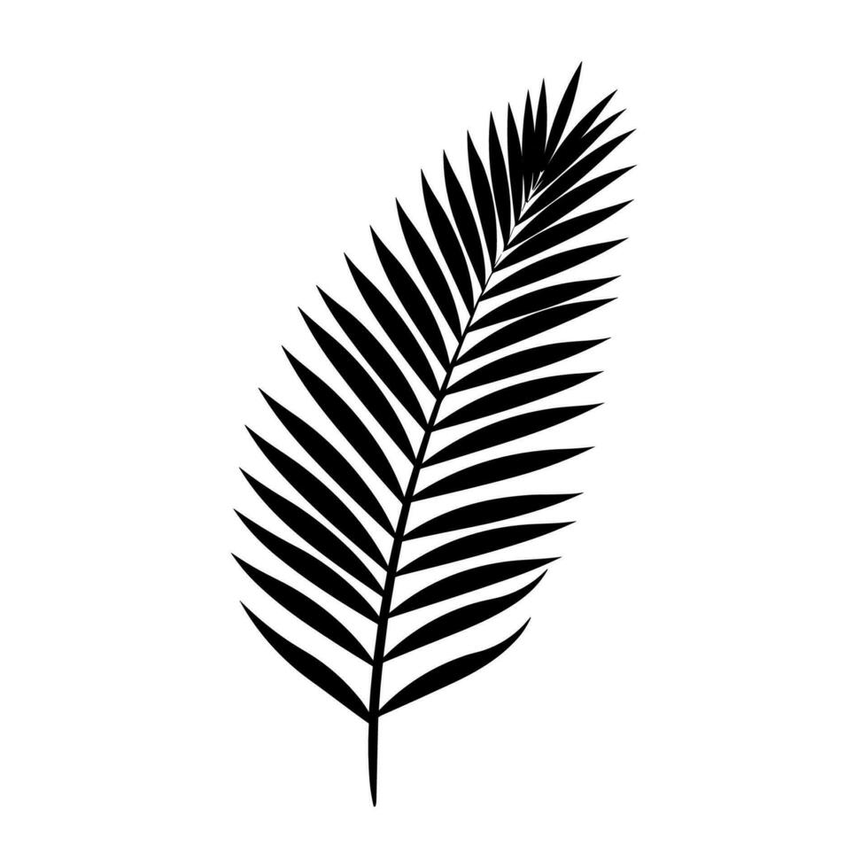 A Palm Tree Leaf Silhouette vector isolated on a white background