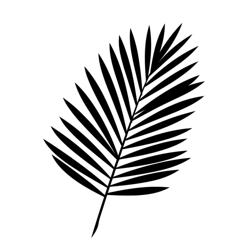 un palma árbol hoja silueta vector aislado en un blanco antecedentes