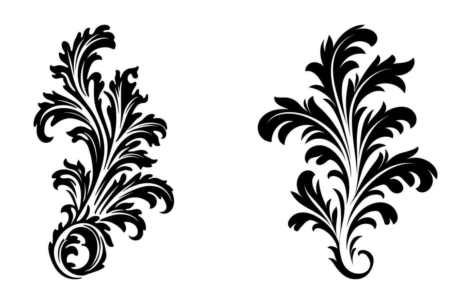 acanto vector aislado en un blanco fondo, Clásico barroco decorativo ornamento elemento silueta