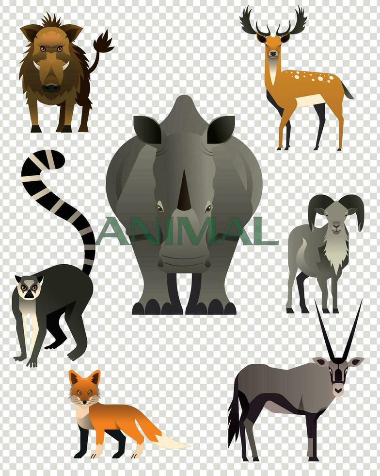 Jungle animals set. vector