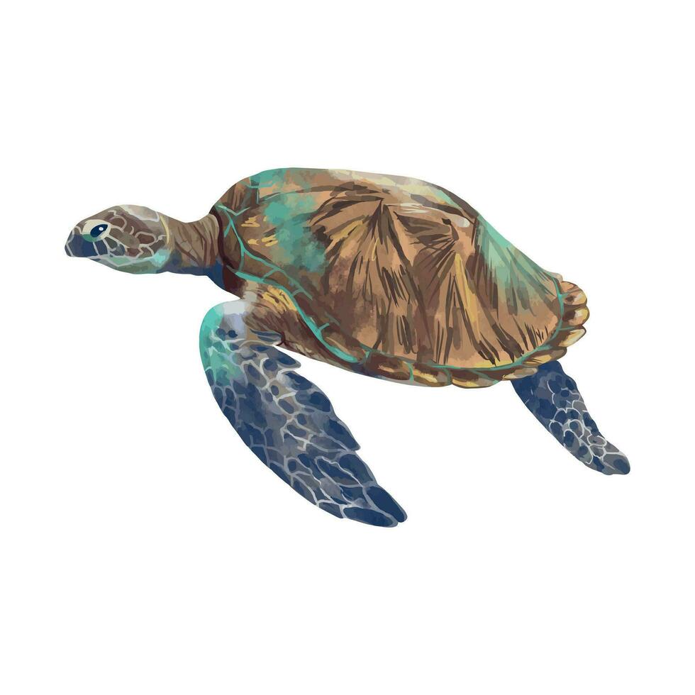 Large sea turtle. Vector sea illustration in watercolor style. Design element for greeting cards, invitations, covers, themed flyers and banners.