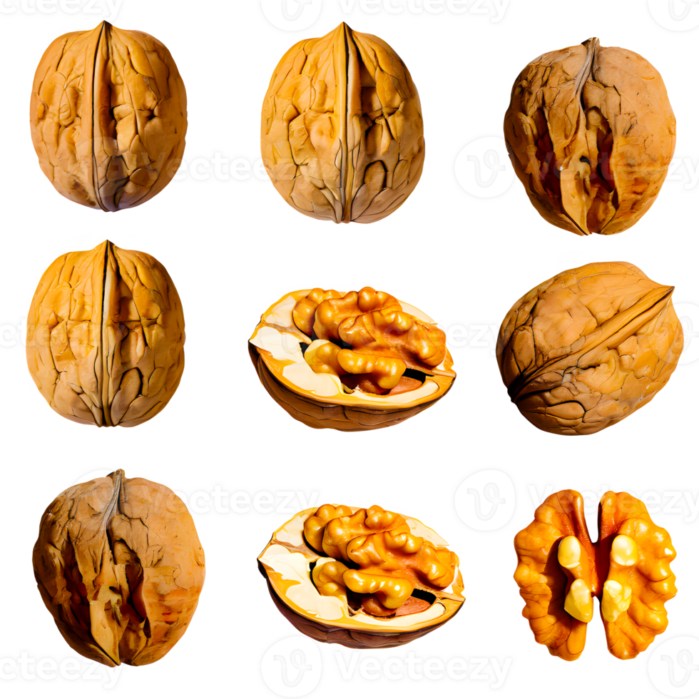 AI generated Walnut sliced isolated on transparent background png