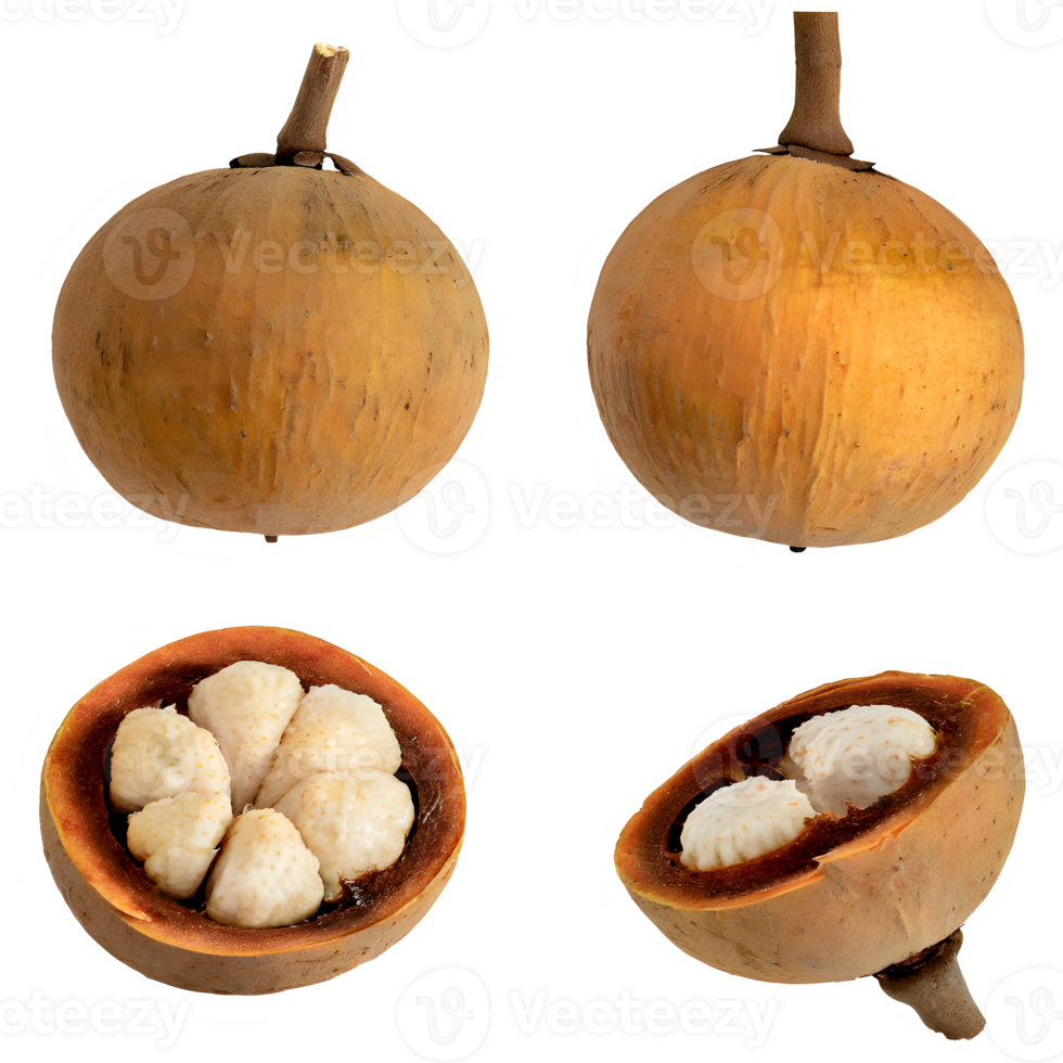 AI generated Santol fruit sliced isolated on transparent background png