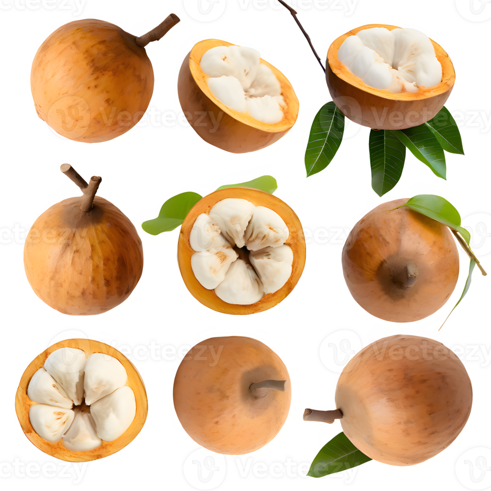 AI generated Santol fruit sliced isolated on transparent background png
