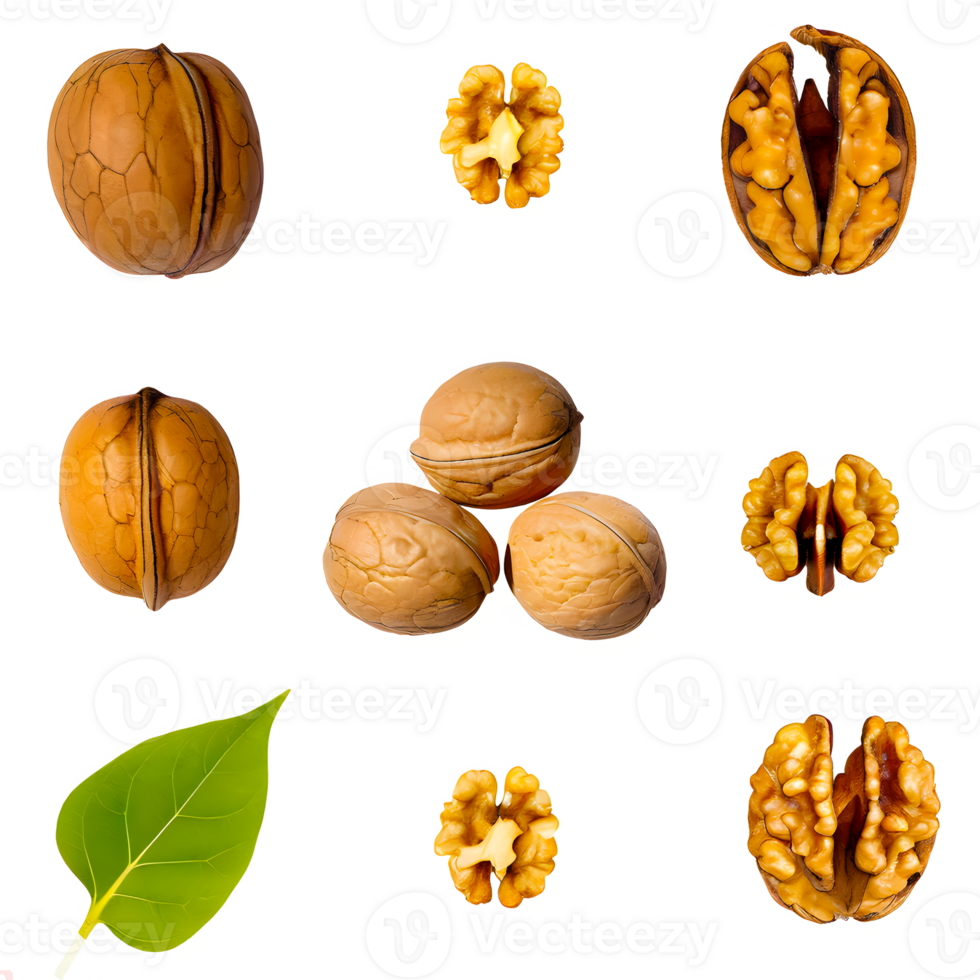 AI generated Walnut sliced isolated on transparent background png