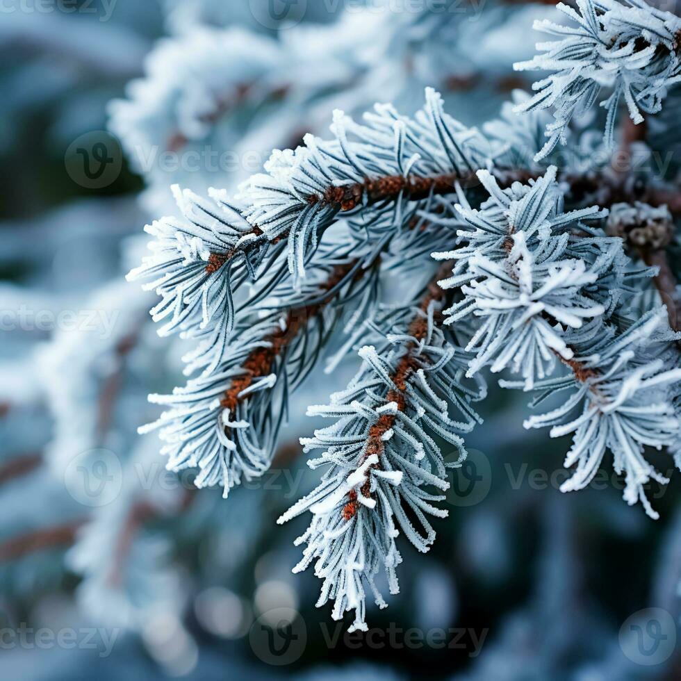 ai generado de cerca pino aguja cubierto nieve. calma invierno bosque escena. árbol ramas cubierto escarcha en Nevado atmósfera. cuadrado natural antecedentes. selectivo enfocar, borroso fondo foto