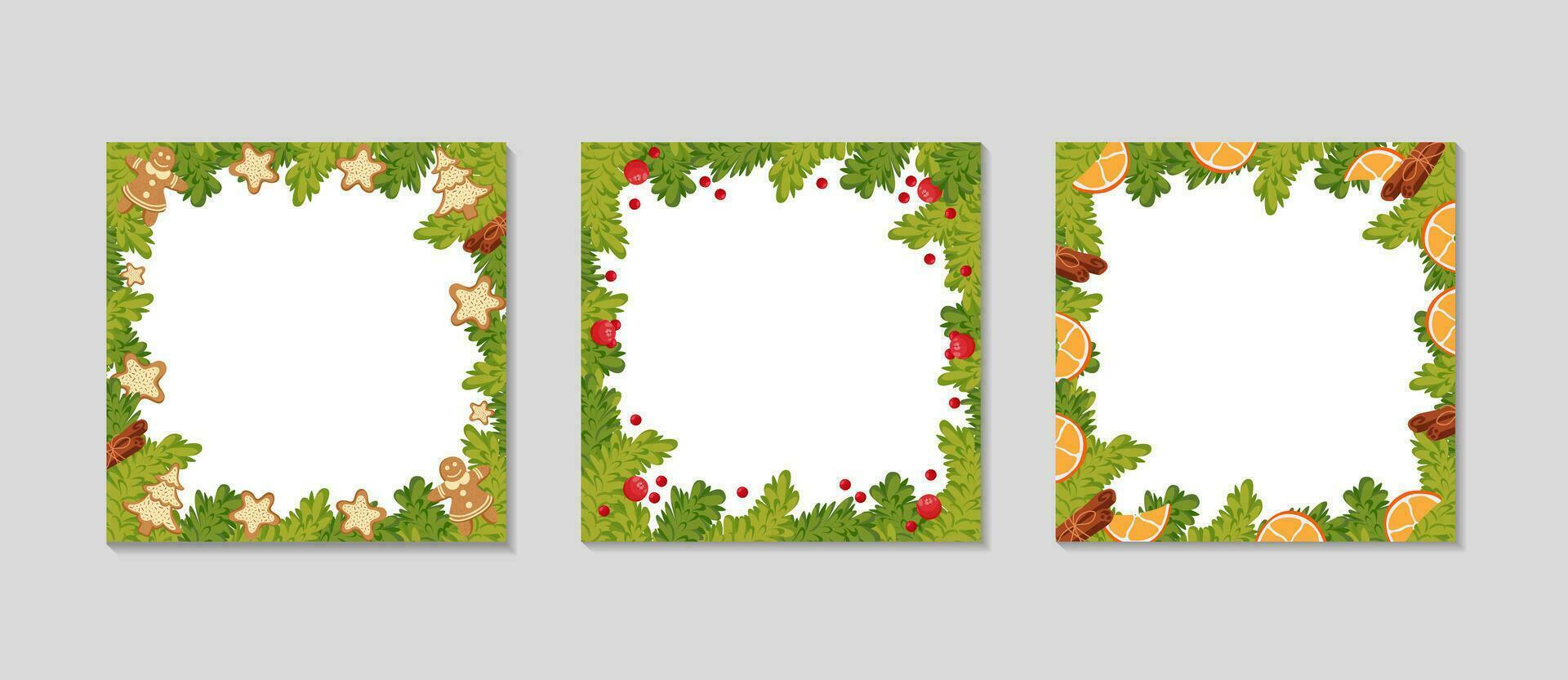 Christmas square frame set for Social media. Spruce branches with cookies, citrus, cinnamon, and holly berries. Christmas holidays square templates. Winter sale and social media Vector illustration