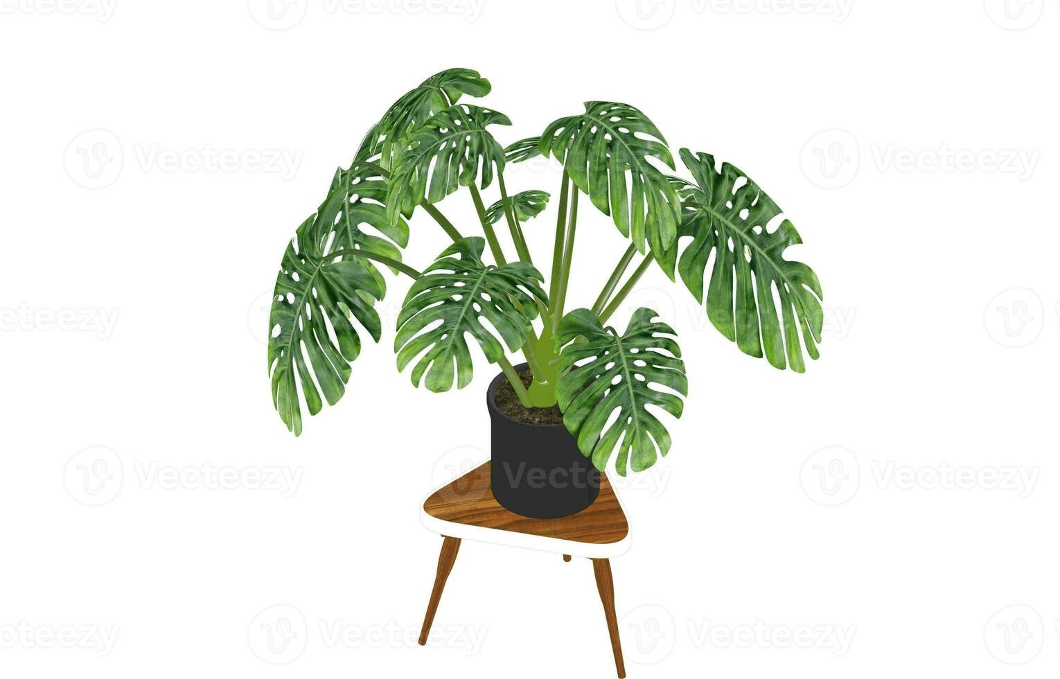 Monstera Leaf, Tropical Botanical Plant in Stylish Decorative Design Isolated on Empty Background photo