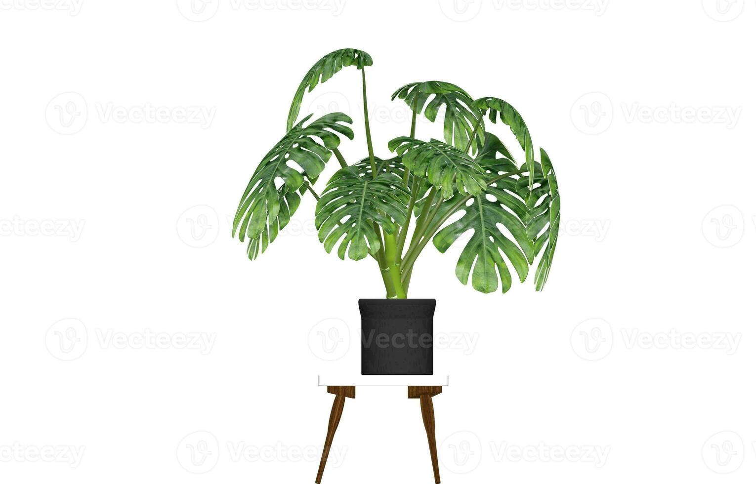 Monstera Leaf, Tropical Botanical Plant in Stylish Decorative Design Isolated on Empty Background photo